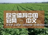 种植基地五(图1)
