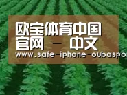 种植基地六(图1)