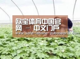 种植基地三