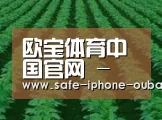 种植基地六