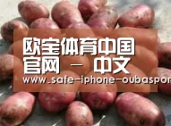 产品展示标题5(图1)
