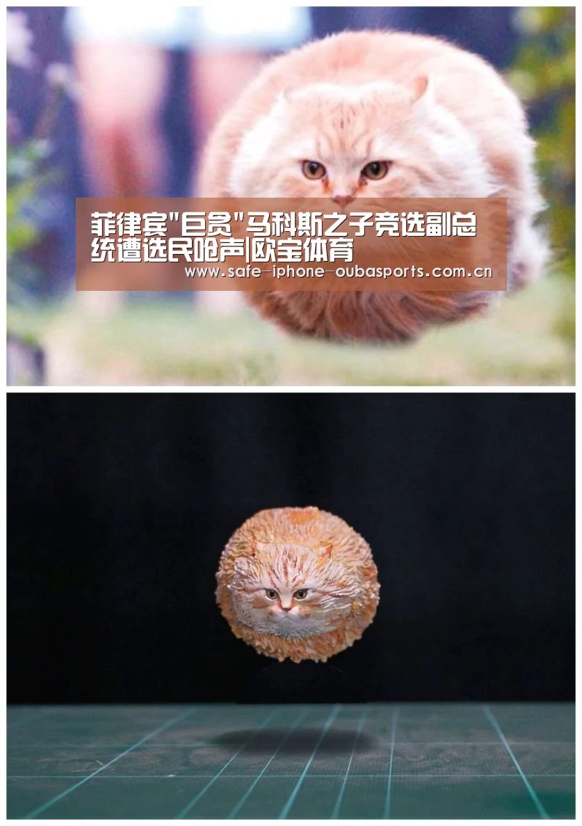 菲律宾巨贪马科斯之子竞选副总统遭选民呛声|欧宝体育(图1) 欧宝体育