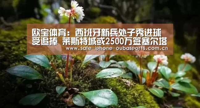 欧宝体育