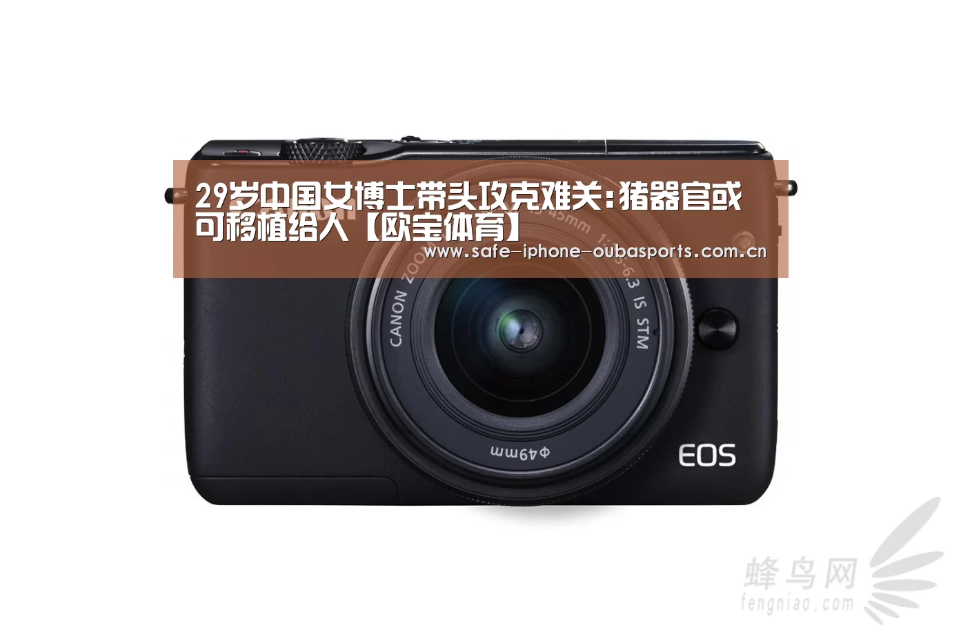 29岁中国女博士带头攻克难关:猪器官或可移植给人【欧宝体育】(图4) 欧宝体育
