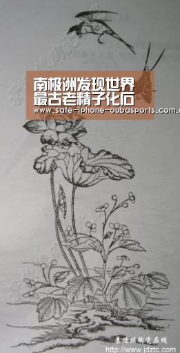 南极洲发现世界最古老精子化石 迄今5000万年:欧宝体育(图2) 欧宝体育