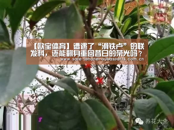 【欧宝体育】遭遇了“滑铁卢”的联发科,还能翻身重回昔日的荣光吗?(图1) 欧宝体育
